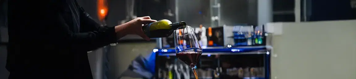 Vinos y Champagne